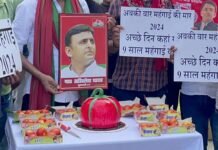 टमाटर जैसा केक काटकर समाजवादी पार्टी कार्यकर्ताओं ने भाजपा पर साधा निशाना