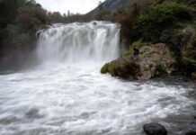 भारतीय महिला का पाकिस्तान में मिला शव, स्थानीय लोगों ने किया ये काम……..