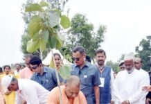 UP : एक दिन में 30 करोड़ से ज्यादा पौधे रोपित कर रचा कीर्तिमान, कागजी खानापूर्ति से दूर रहने के रहे निर्देश