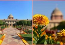 मनमोहक प्राकृतिक नजारों के दर्शन के लिए एक बार फिर खोला गया अमृत उद्यान