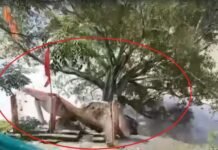 आसमानी आफत का शिकार हुआ 100 साल पुराना हनुमान मंदिर