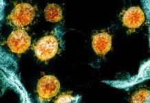 कोविड-19 से कई गुना खतरनाक महामारी देने वाली है दस्तक, करोड़ों लोगों की जा सकती है जान