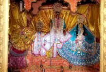 बरसाना में कल हर्षोल्लास के साथ मनाया जायेगा राधारानी का जन्मोत्सव- जयवीर सिंह