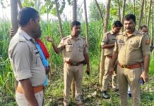 खेत में मिला 20 वर्षीय युवक का सिर कटा शव, क्षेत्र में दहशत का माहौल