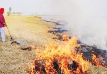 UP : मुख्य सचिव का निर्देश, पराली जलाने पर किसानों पर दर्ज होगा मुकदमा