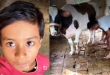 वीडियो बनाते हुए ट्यूशन पढ़ने पहुंचे इस बच्चे ने खोल दी अपने गुरुजी की पोल