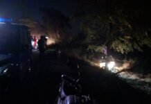 हरदोई: गश्त के दौरान असंतुलित होकर पलटी क्षेत्राधिकारी की गाड़ी, कई पुलिसकर्मी घायल