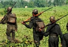 30 नक्सलियों ने छत्तीसगढ़ में किया आत्मसमर्पण, 9 पर घोषित था 39 लाख का इनाम