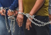 सीबीआई अधिकारी बन 12 राज्यों में ठगी करने वाला शातिर ठग गिरफ्तार