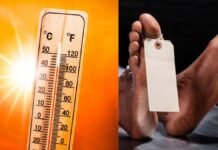 Kanpur News : प्रचंड गर्मी में चक्कर आते ही गिरकर मर रहे लोग, जलकल कर्मी समेत 10 की मौत