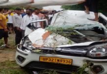 साइकिल सवार किशोर को पिकअप ने रौंदा, कार पर पेड़ गिरने से एक अज्ञात की हुई मौत
