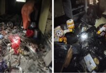 बांग्लादेश में हिंदुओं को बनाया जा रहा निशाना, इस्कॉन मंदिर फूंका