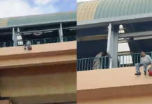 दिल्ली मेट्रो के प्लेटफॉर्म से कूदकर बुजुर्ग ने दी जान, मृतक की हो गई पहचान