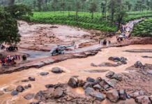 वायनाड भूस्खलन: पांचवें दिन भी जारी बचाव अभियान, मलबे में लोगों की तलाश में जुटे 1,300 से अधिक बचावकर्मी