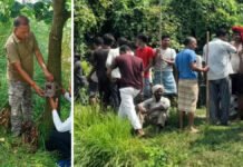 बाघ को पकड़ने के लिए नाइट विजन कैमरों से प्रभावित क्षेत्रों में होगी निगरानी