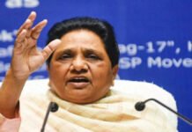 दिल्ली में बसपा अकेले लड़ेगी चुनाव, करेगी बेहतर प्रदर्शन- मायावती