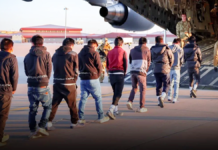 अवैध प्रवासियों को अपराधी बताकर विमान से वापस भेज रहे ट्रंप, उड़ानें शुरू होने से दुनिया में हड़कंप