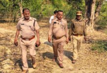 रुदौली के आईटीआई अमराई गांव में दिखा हिंसक जानवर, वन विभाग ने शुरू की कांबिंग