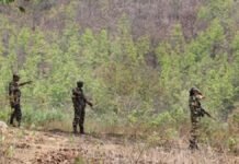 नारायणपुर में सुरक्षाबलों और नक्सलियों के बीच मुठभेड़, दो महिला नक्सली ढेर