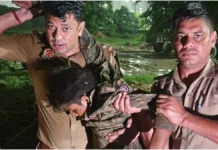 फोटो जर्नलिस्ट पर चाकू से हमला करने वाले बदमाश को नोएडा पुलिस ने एनकाउंटर के बाद किया गिरफ्तार