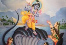 कष्टों से मुक्ति के लिए नाग पंचमी के दिन इन चीजों का दान करना होता है बेहद शुभ