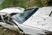 बेकाबू कार पूर्वाचल एक्सप्रेसवे से गिरी नीचे, चालक की मौत, पांच घायल