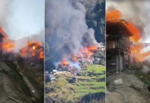 कुल्लू में आंखों के सामने राख हो गया आधा गांव, गोशालाएं भी जलीं
