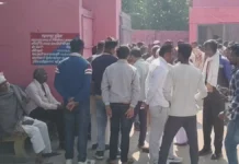 सड़क दुर्घटना में दो सगे भाइयों की मौत, छह अन्य घायल