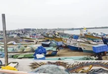 श्रीलंका में चक्रवाती तूफान ‘दितवा’ ने मचाई भारी तबाही, 56 लोगों की मौत