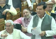 बिजली व्यवस्था के निजीकरण पर अभी कोई अंतिम फैसला नहीं: ऊर्जा मंत्री