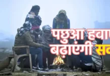 IMD ने जारी किया अलर्ट, कई जिलों में कोहरे और सर्दी से जनजीवन प्रभावित