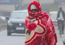 कई इलाकों में गरज-चमक के साथ बारिश की संभावना, सुबह-शाम कोहरे में होगी वृद्धि