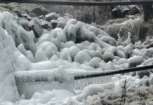 जम गई डल झील, सफेद चादर में लिपटी घाटी