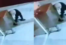 मंदिर का दान पात्र तोड़कर चोरी करने वाले दो बदमाश मुठभेड़ के बाद गिरफ्तार