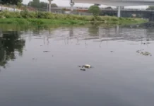 गोमती नदी स्वच्छता पर विशेष कार्यक्रम, शामिल होंगे मुख्यमंत्री योगी