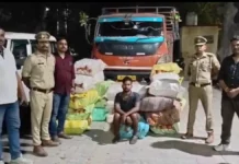 STF ने 1.93 करोड़ का गांजा किया बरामद, तस्कर को भी दबोचा