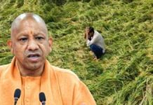 बेमौसम बारिश से परेशान किसानों का CM योगी ने जाना हाल, जिलाधिकारियों से मांगी रिपोर्ट