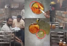 होटल में चिकन खा रहे युवक के खाने में निकली मरी हुई छिपकली, होटल सील