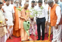 यूपी में हरियाली का महाअभियान, 9 वर्षों में रिकॉर्ड 242 करोड़ पौधों का रोपण