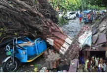तेज आंधी में ई-रिक्शा पर नीम का पेड़ गिरा, 5 लोगों की दबकर मौत