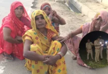 कौशांबी में किशोरी की गला घोंटकर हत्या, आरोपी गिरफ्तार