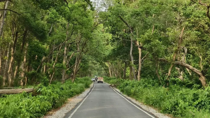 Pilibhit