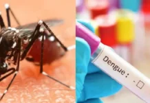 राजधानी में एक ही दिन में मिले डेंगू के 13 नए मरीज, आंकड़ा 500 के पार