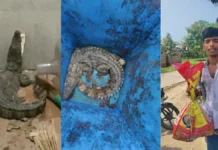 यूनिवर्सिटी के हॉस्टल के बाथरूम में मिला मगरमच्छ, छात्रों में मचा हड़कंप